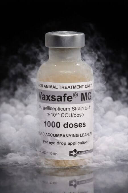 Dry Ice Image Vaxsafe